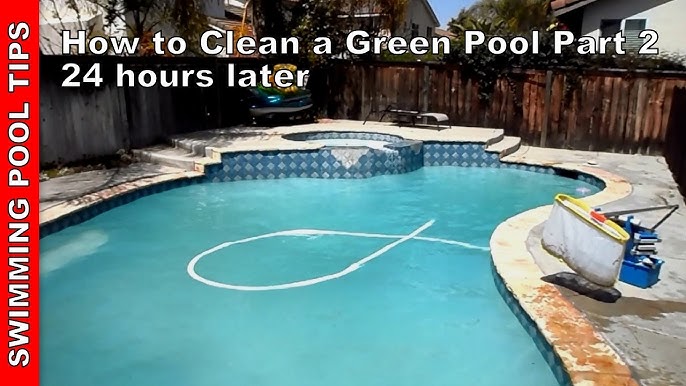 How To Clean A Green Pool Quickly - How To Clean A Green Pool Pool Cleaning Guide The Pool Co