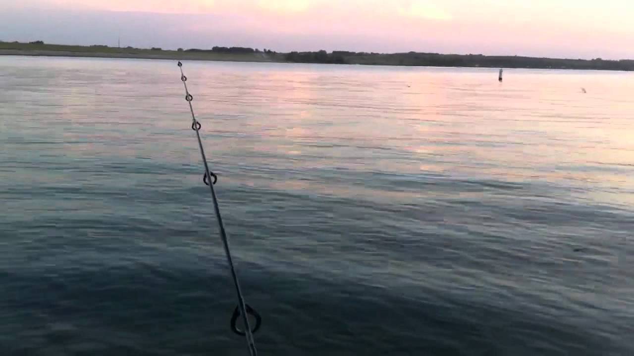 Branched Oak Lake YouTube