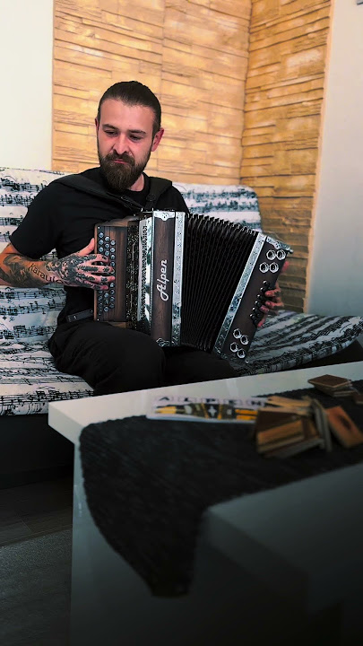 #folk #cover #accordion #folkmusic #duet #acordeon #music