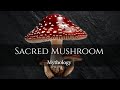 Origin of the Sacred Mushroom myth