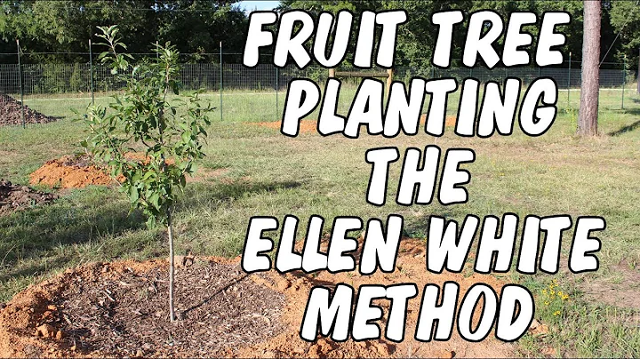 Fruit tree planting the Ellen White method