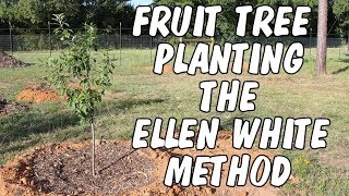 Fruit tree planting the Ellen White method