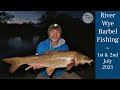 Barbel Fishing - River Wye Summer Adventure - 1/7/21 (Video 252)