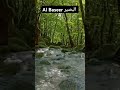 Al Baseer Allah ka ek pyara naam ☺️