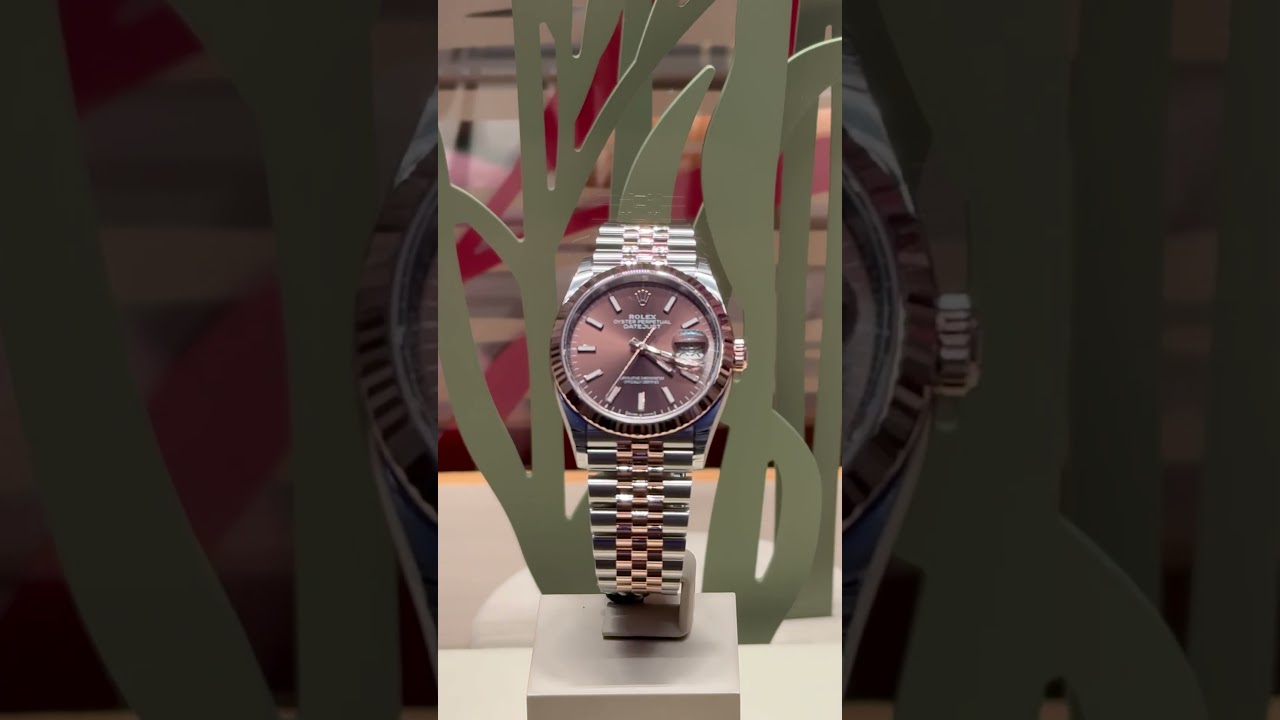 ROLEX DATEJUST 41 Everose Rolesor with the Chocolate Dial 