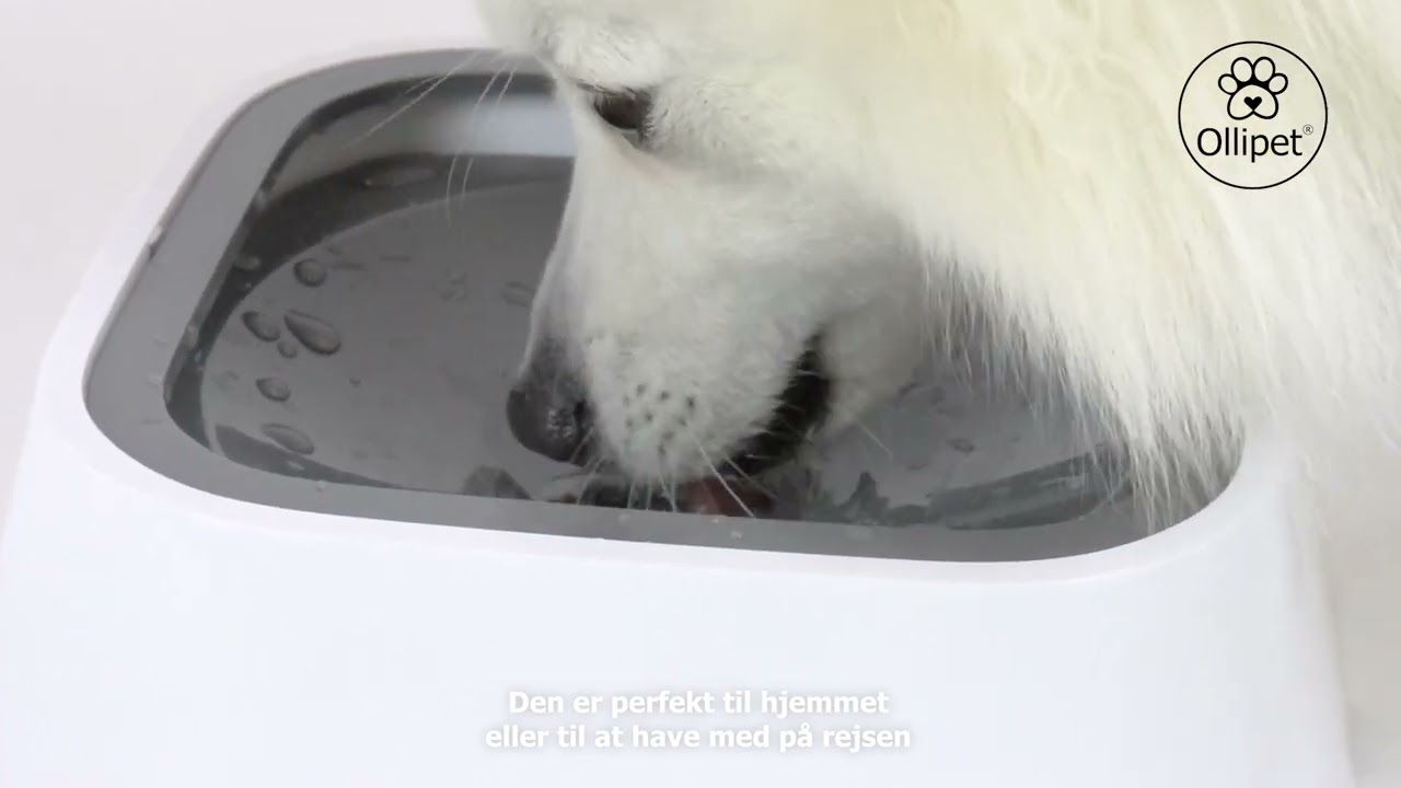 Ollipet Vandskål | Anti Spild