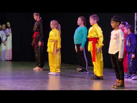 Девети фестивал на китайската култура се състоя в Канев Център Русе 