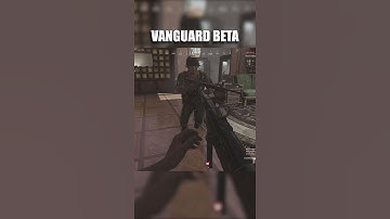 The Vanguard Beta Was Pretty Fun