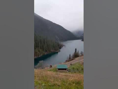 Колсай #кольсай #кайынды #shortvideo #reels #shorts - YouTube