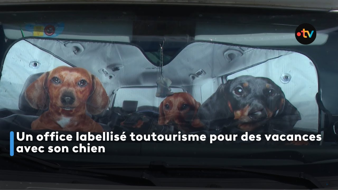 Un office labellisé toutourisme pour des vacances avec son chien