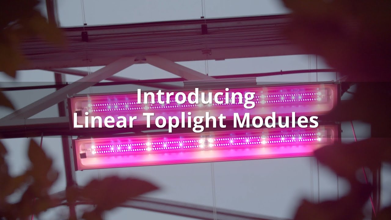 Introducing Tungsram Linear Toplight Modules