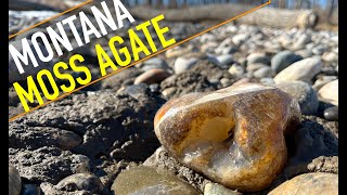 I FOUND A BIG ONE!!! | Winter Moss Agate Hunting on the Yellowstone River