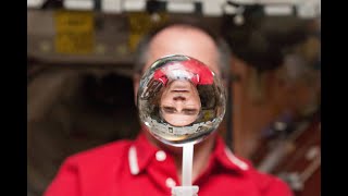 NASA STEM Stars: Sub-Systems Manager