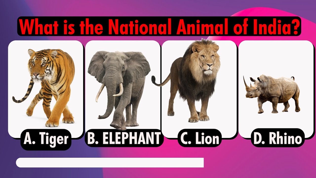 Animal Expert or Newbie? Take the Ultimate Animal Quiz!