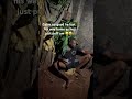 Colos no good he lost his way home as he just puff am 😀🥹 #funnyvideo #claptone #funniestvideo #fun