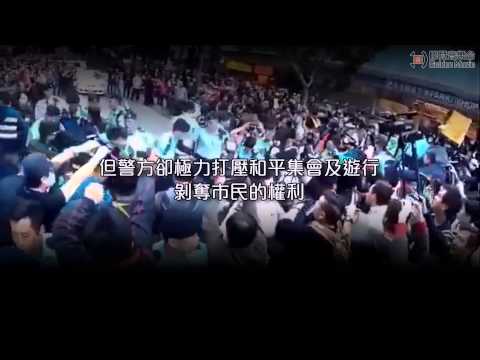 【膠登音樂台】《雙重標準》（原曲：《思覺失調》，劉浩龍）
