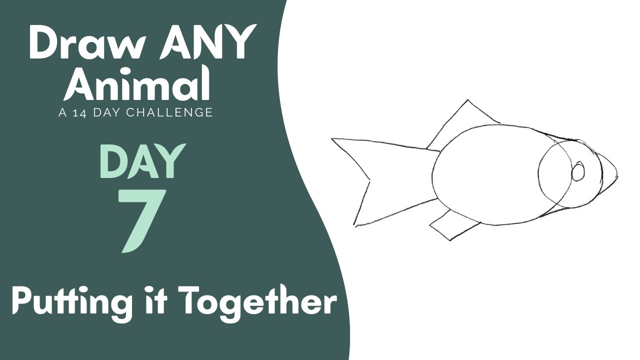 DRAW ANY ANIMAL - 7 - Putting it Together