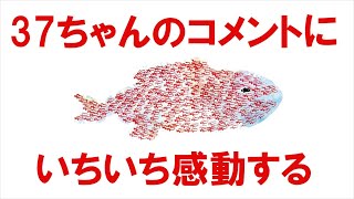 37ちゃんのコメントに、いちいち感動する【番外編344】036&37ちゃんねる：完全オフモード。まったり、ダラダラ、とりとめなく