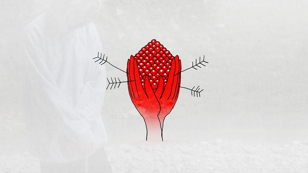 клюква лсп. фараон клюква текст. лсп грязь клюква. клюква лсп. клюква фараон.