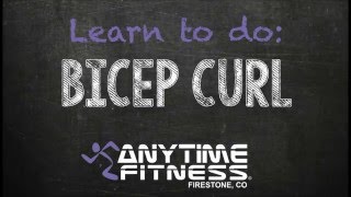 Anytime Fitness - Bicep Curl
