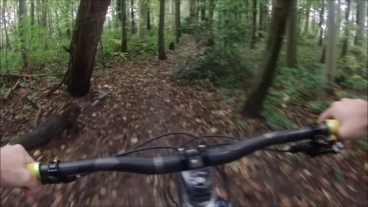 Akaso V50x Zhiyun Rider M/EVO SS Gimbal MTB test