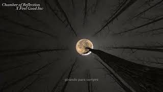 Chamber Reflection X Feel Good