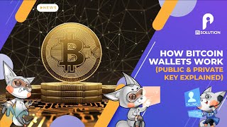 Explainer Video for Blockchain Protocol  2D and 3D Mixed Animation  Novum Protocol
