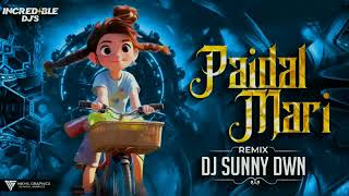 Download Lagu Paidal mari mari - Dj Sunny Dwn MP3