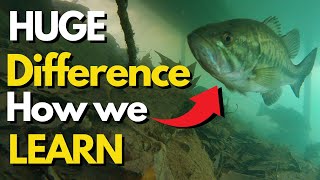 Most Bass Anglers Do the Opposite of This | Bass Fishing Tips for New Lures screenshot 5