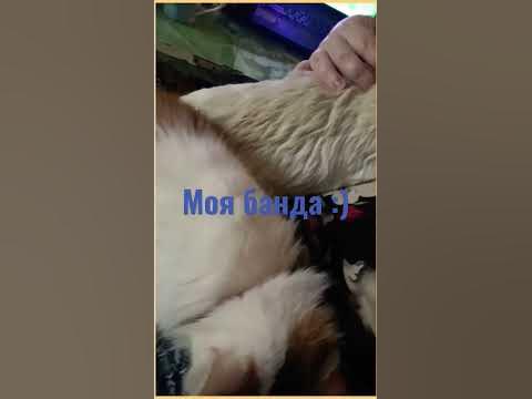 Как я сижу за компом, когда на улице минус 25 - YouTube