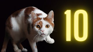 Top 10 Cat Names 2024| Most Loved Cat Named on the Internet ❤