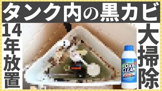 【トイレ掃除】１４年放置したタンク内の黒カビ取り！