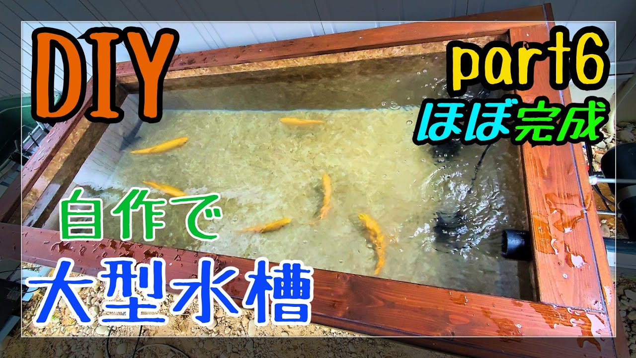 大型水槽 DIY】🔨自作で大型水槽作ってみた‼️part6 - YouTube