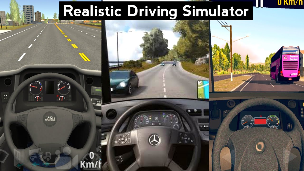 Real Driving Simulator