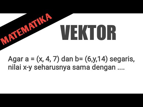 Vektor Agar A X 4 7 Dan B 6 Y 14 Segaris Nilai X Y Seharusnya Sama Dengan Youtube