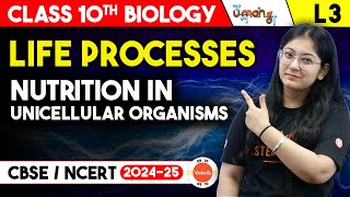 Life processes L3 | Nutrition in Unicellular Organism | Class 10 Biology | CBSE 2025 | UMANG