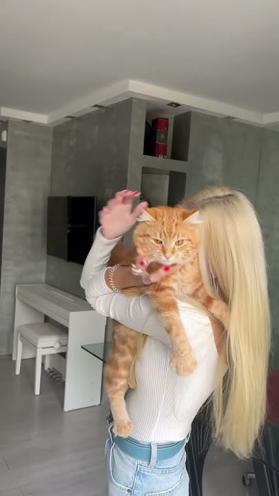 Мы трех котиков с улицы взяли и всё они выросли красивыми и добрыми ️ ️ ...