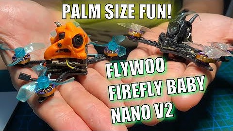 PALM SIZED FPV // FlyWoo Nano Baby v2 // HD and Analog Review