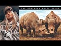 Gratitude, Hope and Two Important Rhinos No. 40