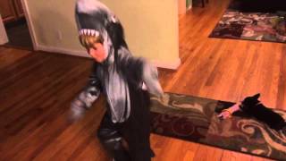 Original Left Shark