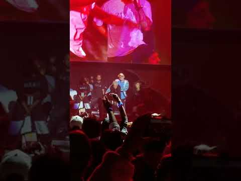 N.E.R.D. "LEMONS" MIDNIGHT BOSSES ENT CONCERT SERIES (POWERHOUSE L.A. 2018)