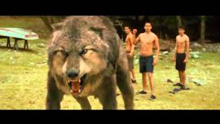 Crepúsculo Lua Nova Família Cullen Family Training Cullen - Eclipse 2010