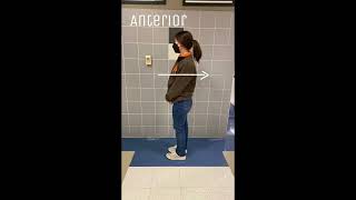 Anatomy Song