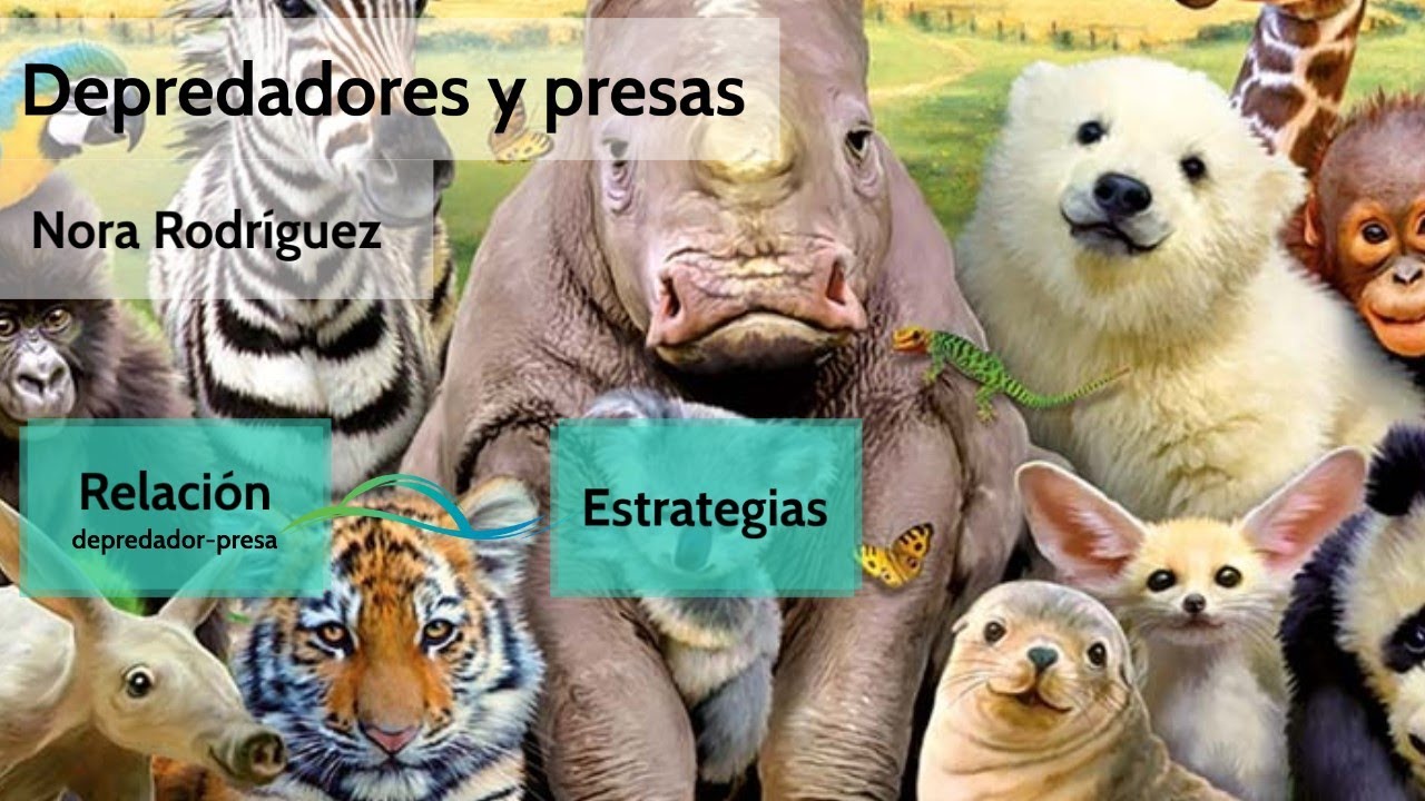 Adaptaciones y estrategias