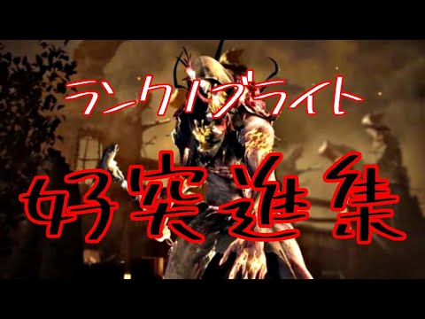 ランク1ブライトのナイスな突進集 #1　【DbD/デッドバイデイライト/ブライト】