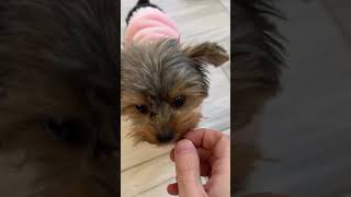 What to Expect with Your Fresh Patch Delivery