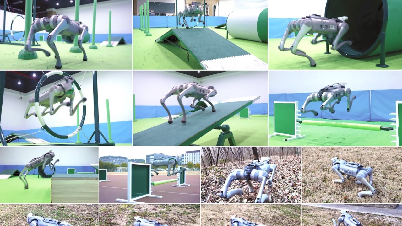 Learning Diverse Natural Behaviors for Enhancing the Agility of ...