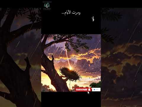 العصفور الصغير وصمت الأمل