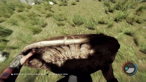 The Forest - Extreme Turtle Sledding