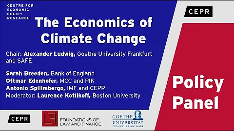 Panel Policy on the Economics of Climate Change wi...